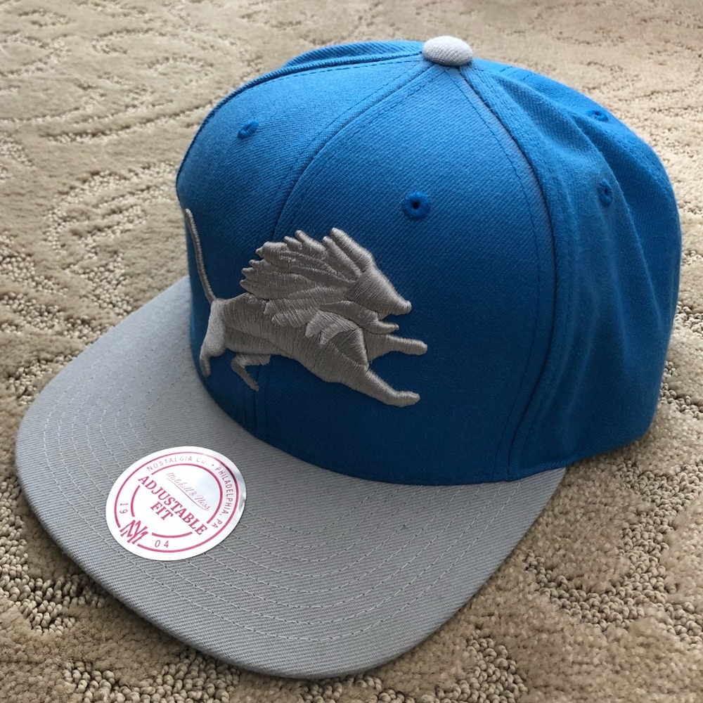 Detroit Lions Hat
